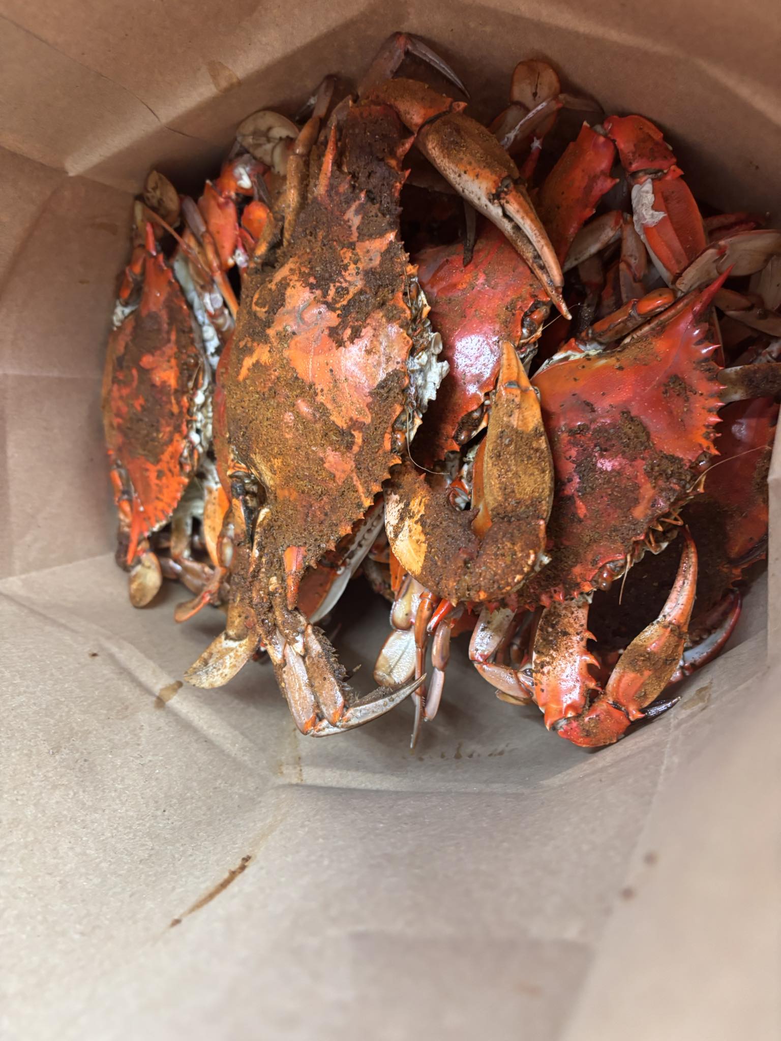 Steamed Blue Crabs